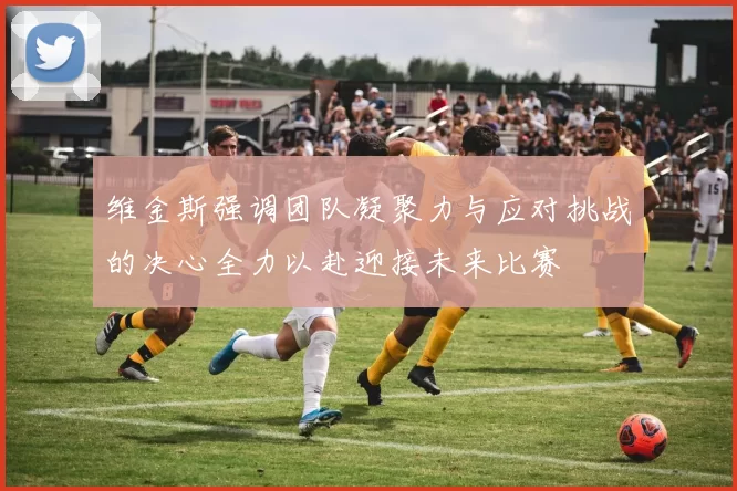 维金斯强调团队凝聚力与应对挑战的决心全力以赴迎接未来比赛